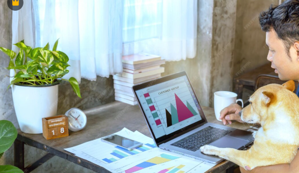 Create a Beginner-Friendly Investment Portfolio