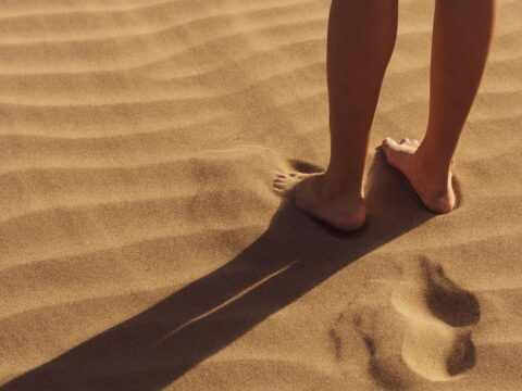 How to Budget for Beginners Step by Step